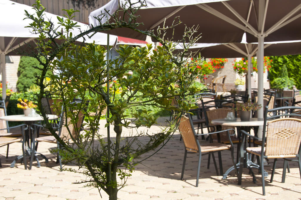 Hotel Steensel Екстер'єр фото